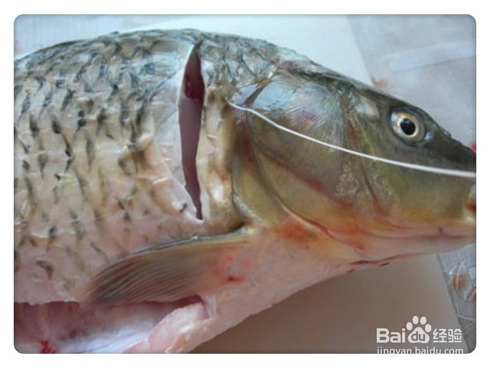 如何做清蒸鱼没有腥味？