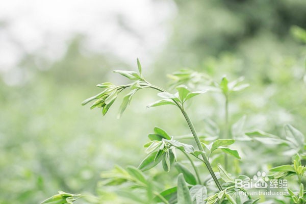 如何去除食物中的盐