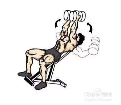 只需一对哑铃,在家锻炼全身肌肉!