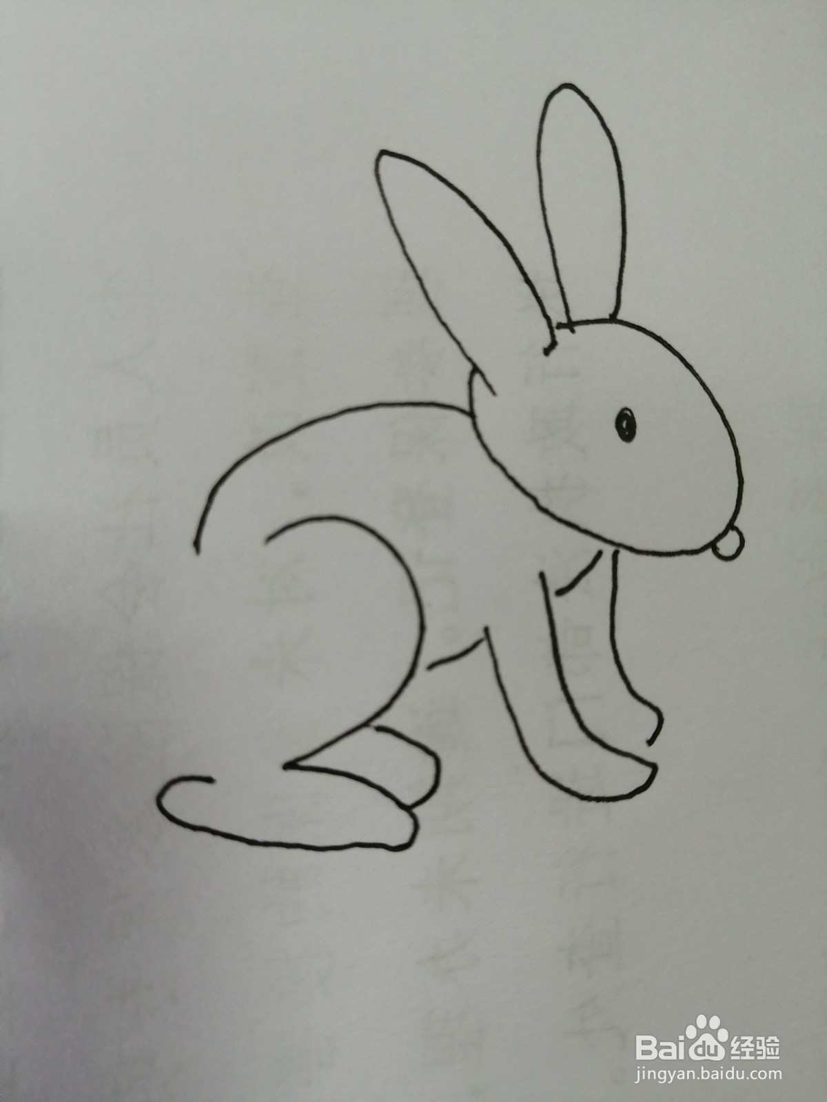 可爱的小兔子怎么画
