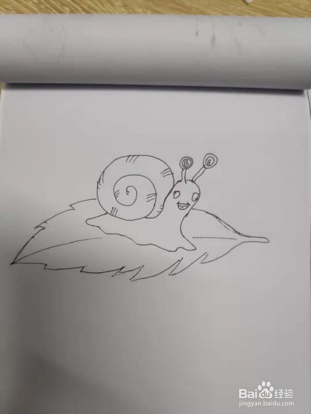 蜗牛的简笔画