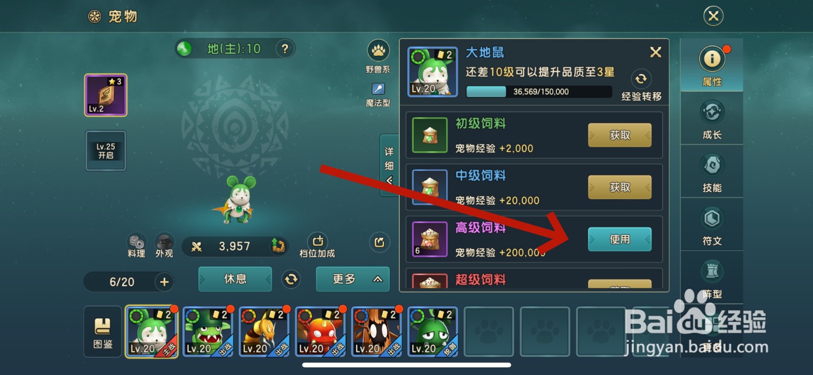 魔力宝贝怎么升级宠物