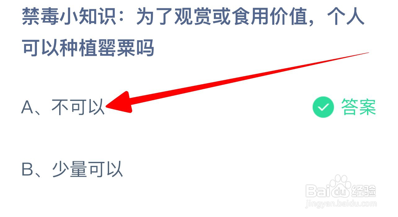 个人可以种植罂粟吗？蚂蚁庄园6.26答案