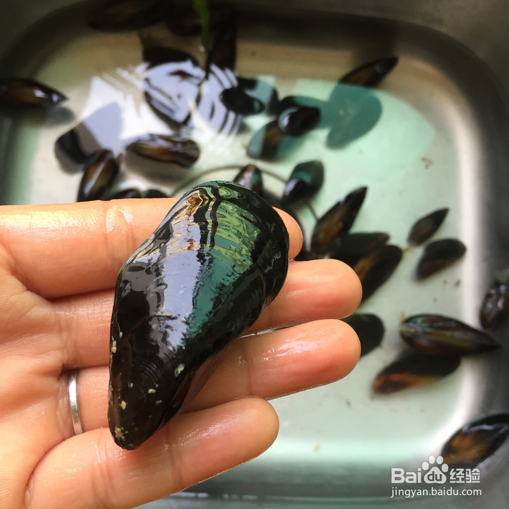 葱油海虹的独家做法