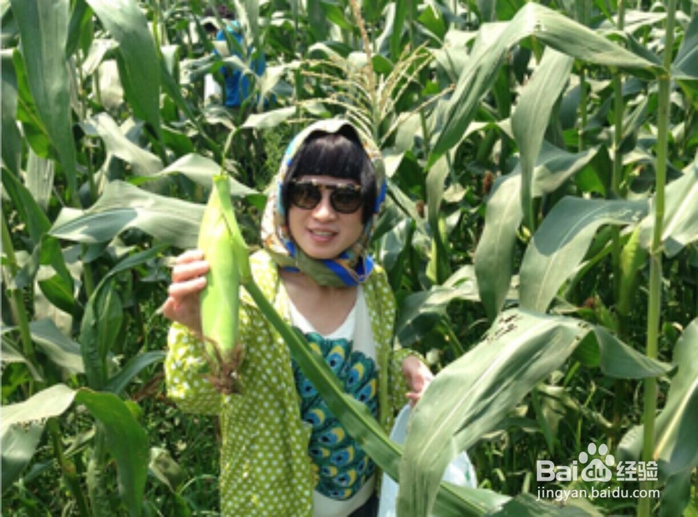 去乡下采摘注意什么