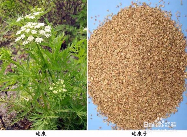 你真的懂养生吗？