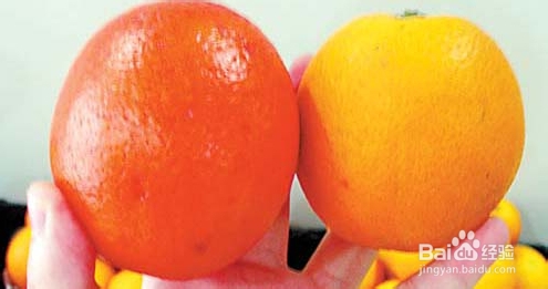 怎样挑选好吃的橙子