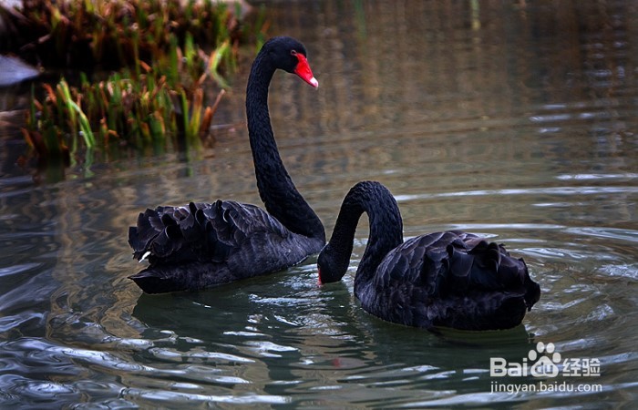 徐家汇附近有什么好玩的地方