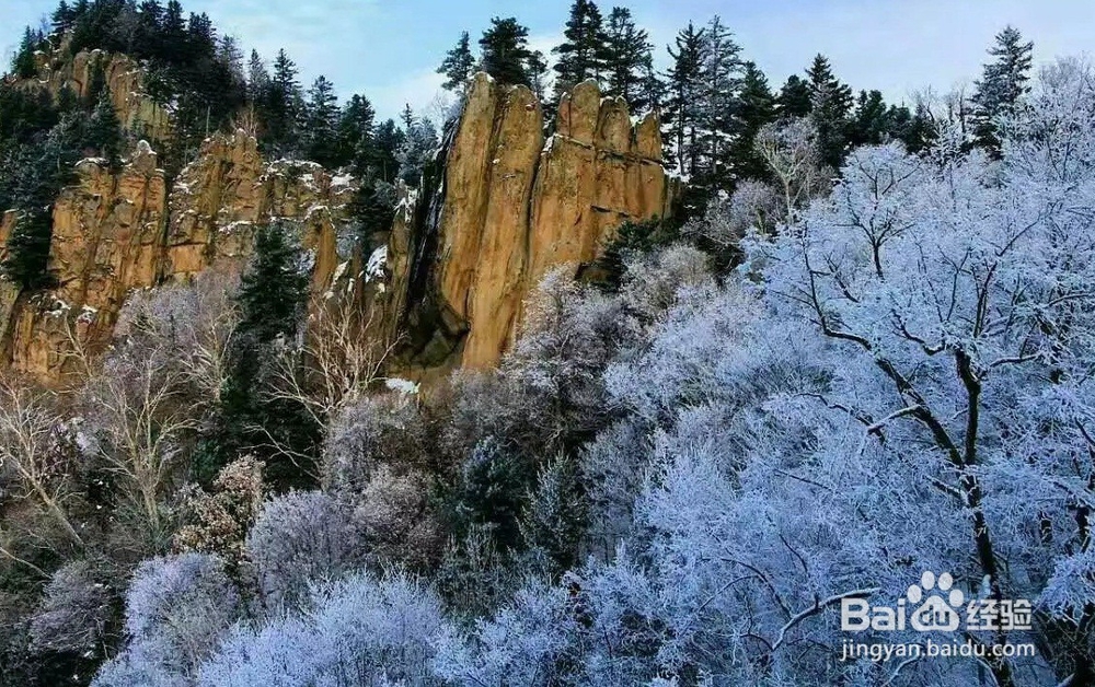 黑龙江东沟原始林景区旅游攻略