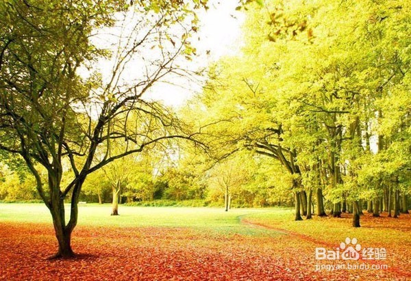 床虫咬人后怎么办