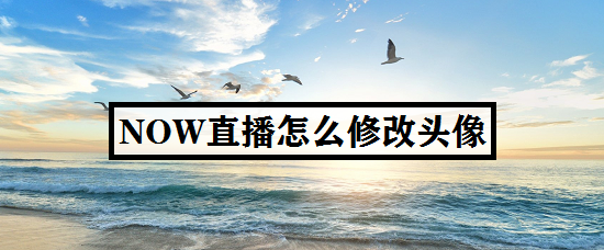NOW直播怎么修改头像