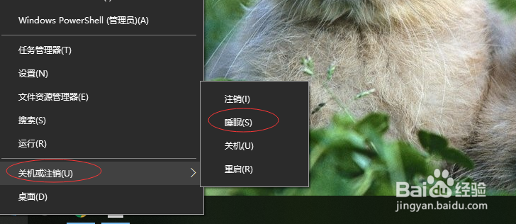 windows 10如何快速睡眠进入睡眠（三种方法）