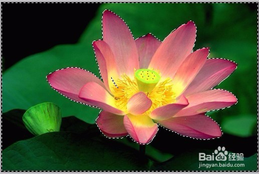 PS图层蒙版的应用