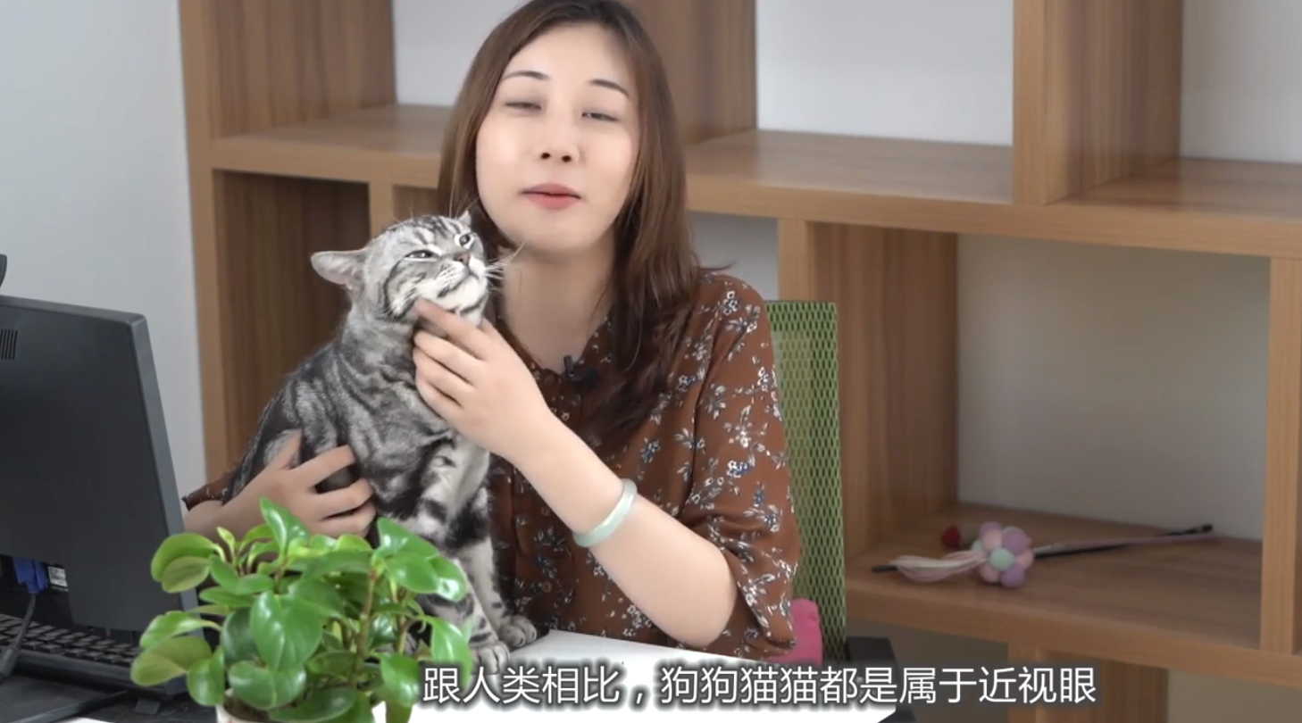 狗狗猫猫都是近视眼吗