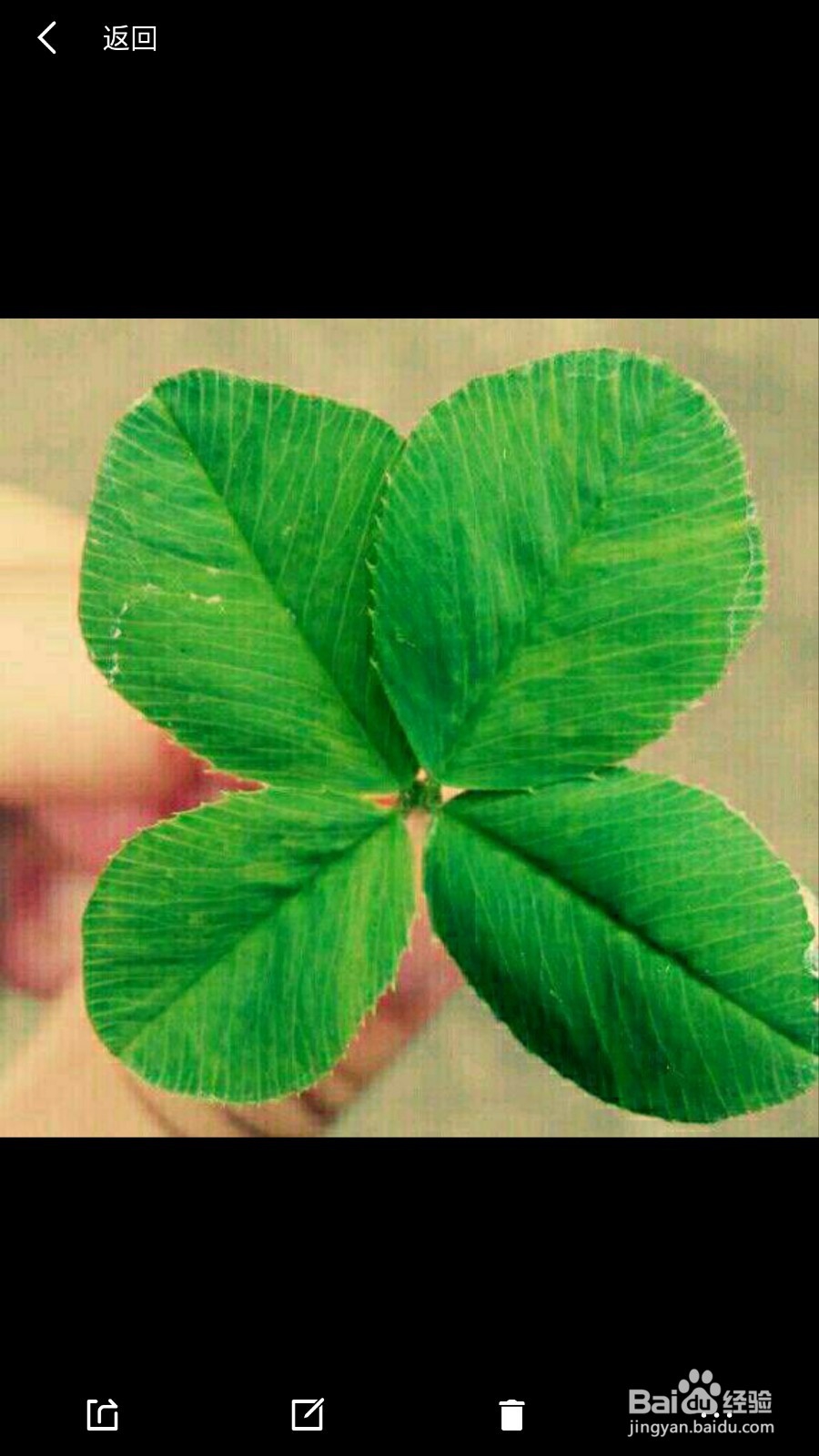 【手机QQ】如何保存闪照并能随时查看