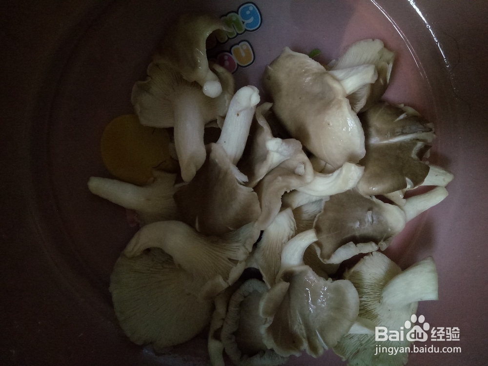 单身狗的午餐