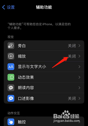 苹果手机怎么设置缩放功能