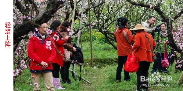 踏春的方法与注意事项