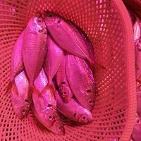 如何制作美味的五香煎鱼