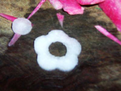 蜜汁柠香萝卜，味道真的棒极了