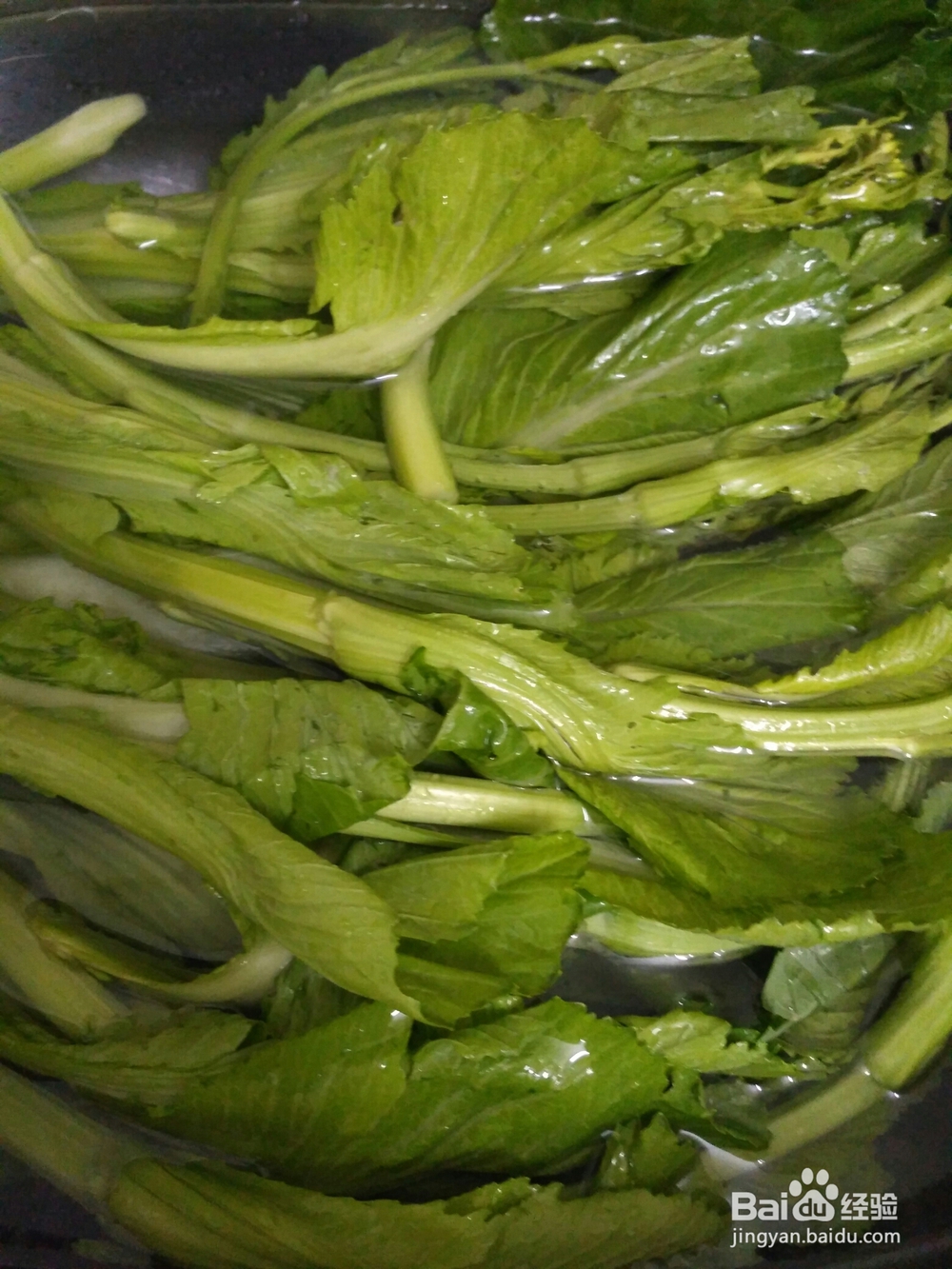 做出入味的芥菜