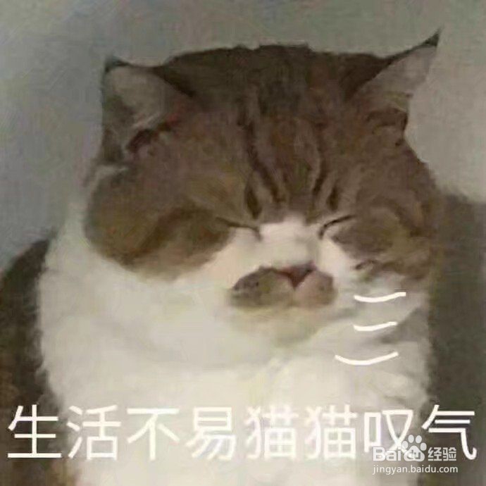 女追男的技巧微信聊天