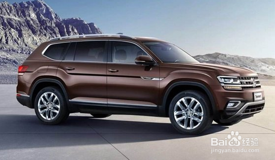 大众带字母什么车