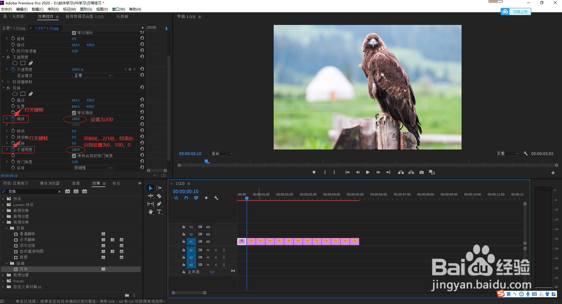 如何使用premiere软件制作简单快闪镜头特效
