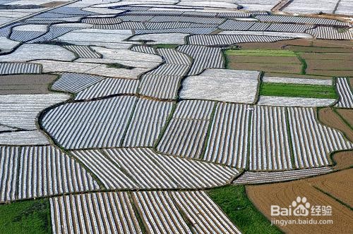 防治地膜污染的方法