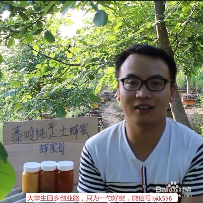 土蜂蜜的作用与功效有哪些