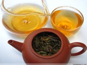 怎样泡普尔普洱沱茶比较好？