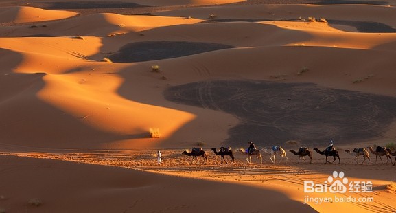 丝绸之路的意义和作用