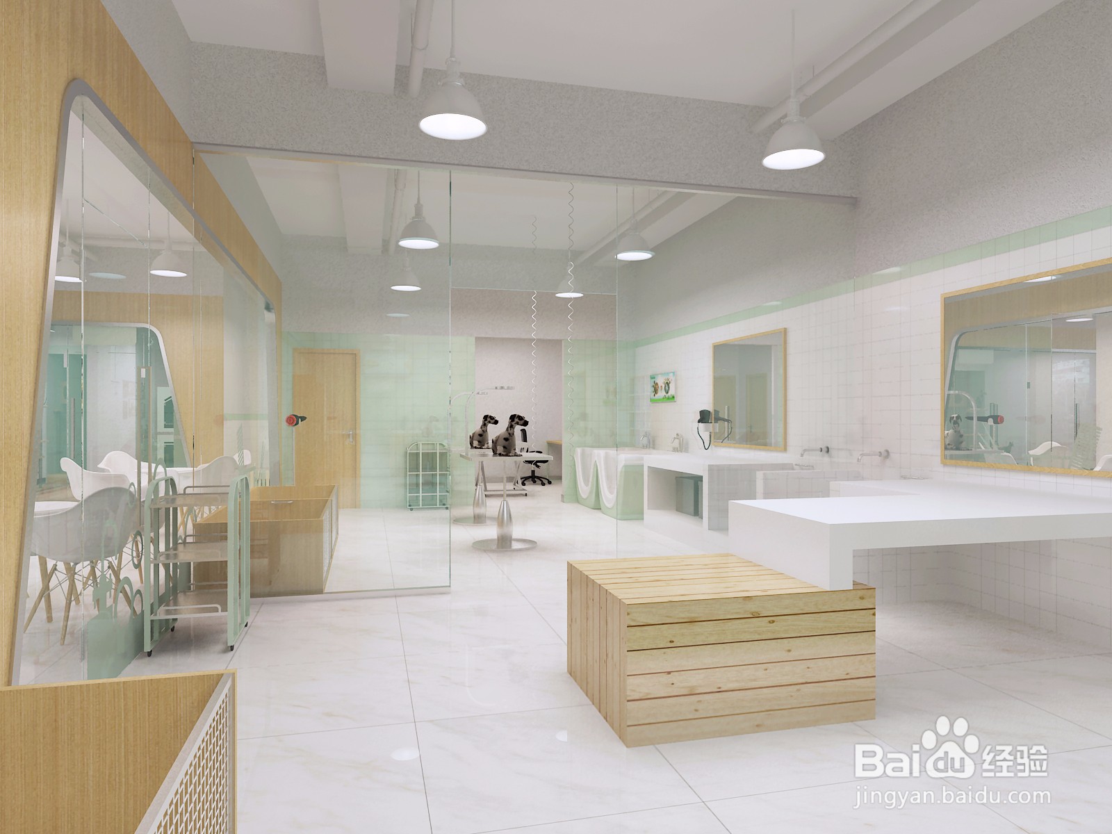 开宠物店需要注意哪些方面