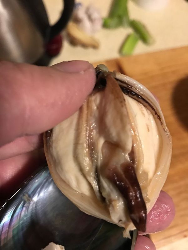 双椒蒜茸粉丝蒸青口