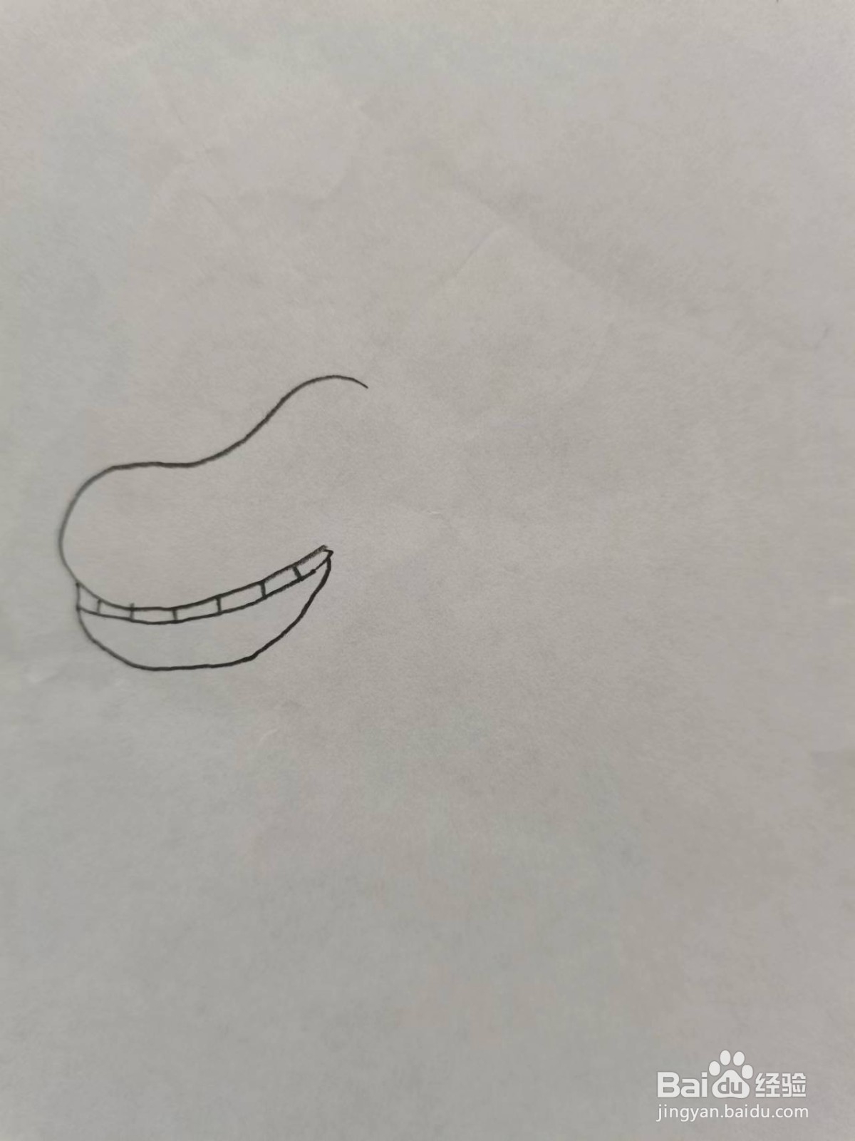 铅笔画卡通河马