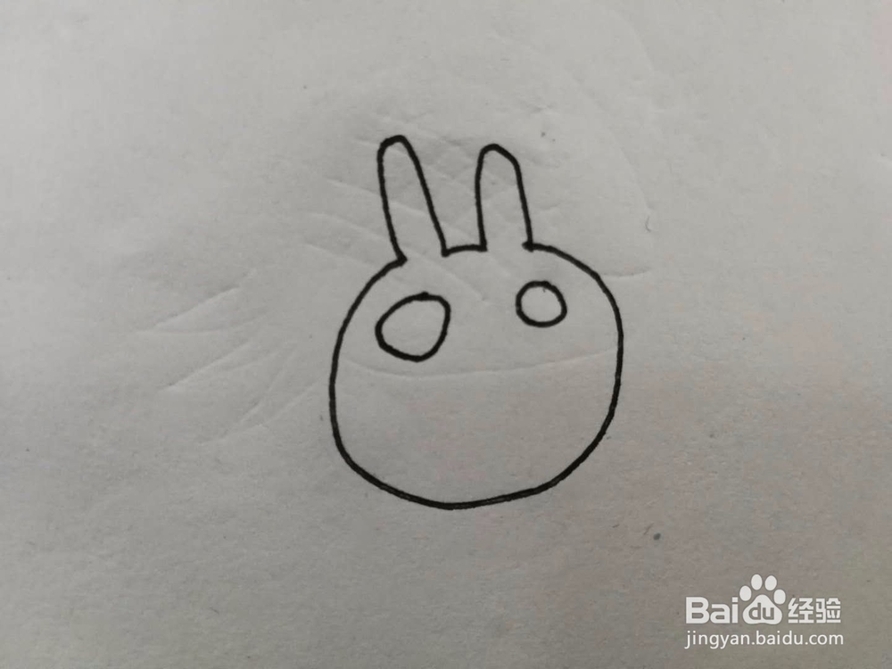 简笔画气疯了的兔子