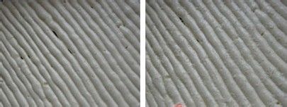 怎么做芝麻椰蓉蛋糕卷