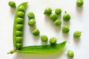 什么食物可以调节失眠