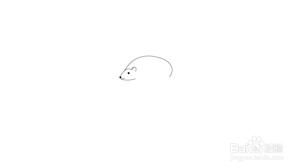 可爱小刺猬简笔画教程