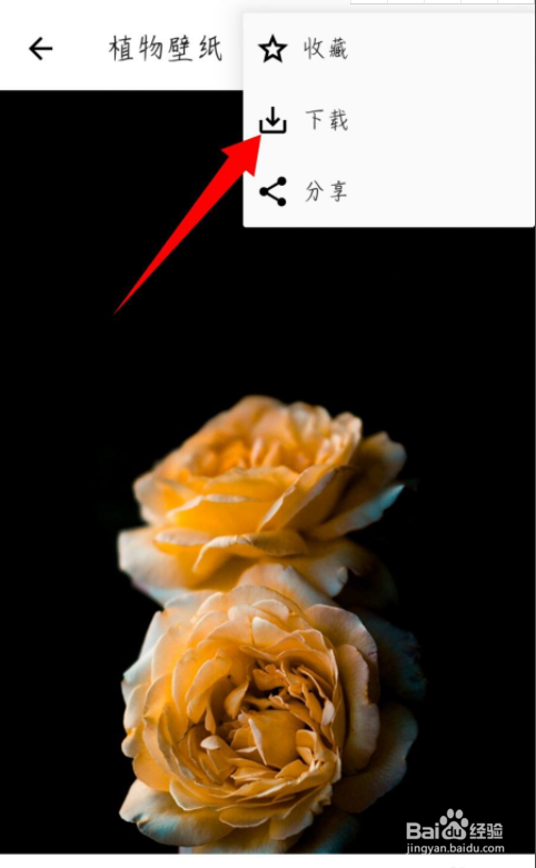 形色怎么下载植物壁纸