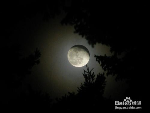 如何控制自己不熬夜