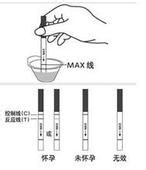 女性怀孕多久能测出来？