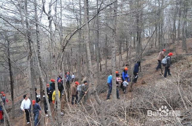 登山戸外运动注意什么