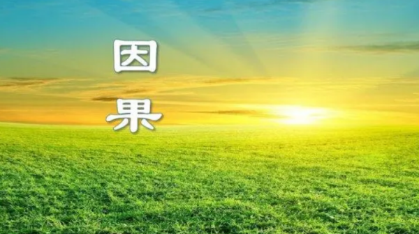 因果报应的句子