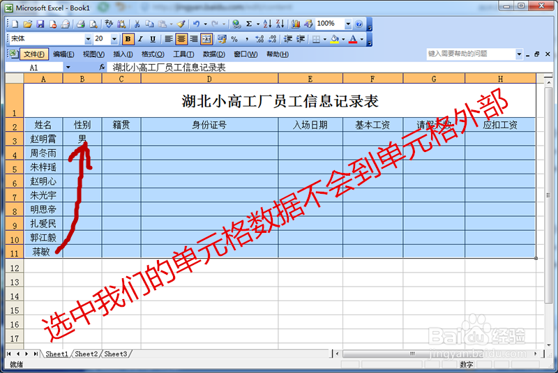 Excel中录入数据的技巧