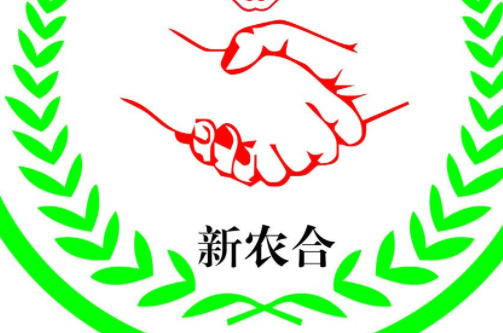 2022新农合网上关注什么公众号