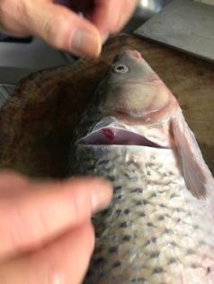 分享自己做瓦块鱼的经验