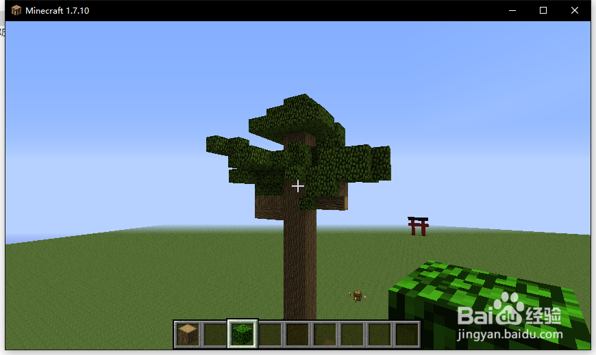 我的世界巨形树教程