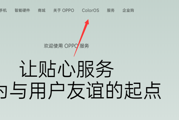oppo官网登录的账号和密码是指什么