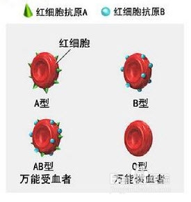 新晋父母、新婚人士必看：新生儿溶血病